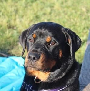 Meet your Posher, Isaac